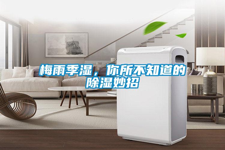 梅雨季濕,你所不知道的除濕妙招