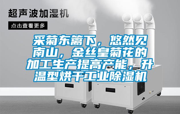 采菊東籬下，悠然見南山，金絲皇菊花的加工生產(chǎn)提高產(chǎn)能，升溫型烘干工業(yè)除濕機