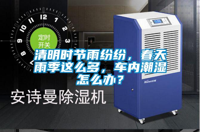清明時節雨紛紛,春天雨季這么多,車內潮濕怎么辦?
