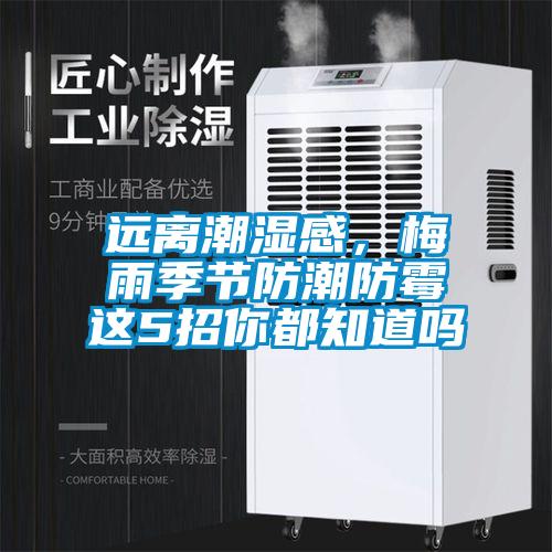 遠離潮濕感,梅雨季節防潮防霉這5招你都知道嗎