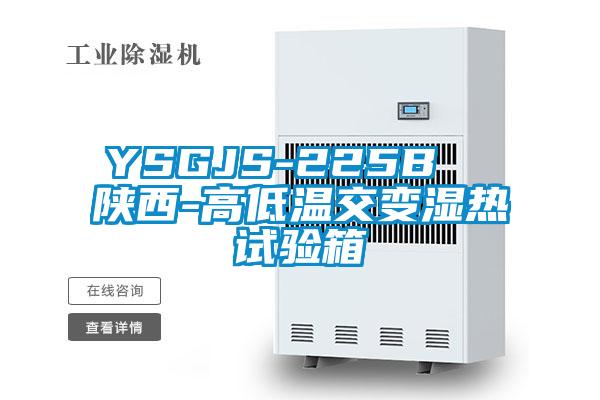 YSGJS-225B  陜西-高低溫交變濕熱試驗(yàn)箱