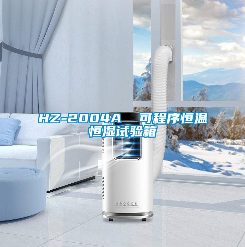 HZ-2004A 可程序恒溫恒濕試驗(yàn)箱