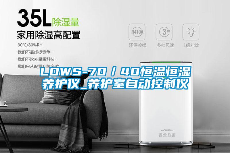 LDWS-70/40恒溫恒濕養護儀_養護室自動控制儀