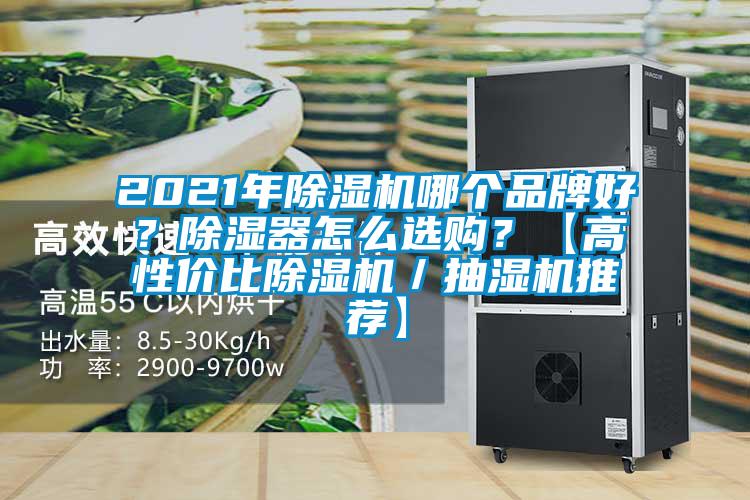 2021年除濕機哪個品牌好？除濕器怎么選購？【高性價比除濕機／抽濕機推薦】