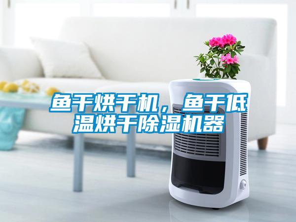 魚干烘干機,魚干低溫烘干除濕機器