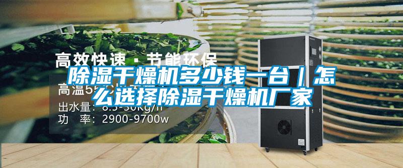 除濕干燥機多少錢一臺|怎么選擇除濕干燥機廠家