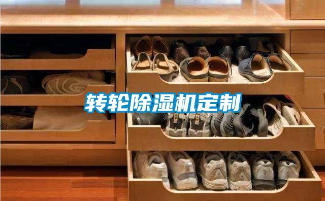 轉(zhuǎn)輪除濕機(jī)定制