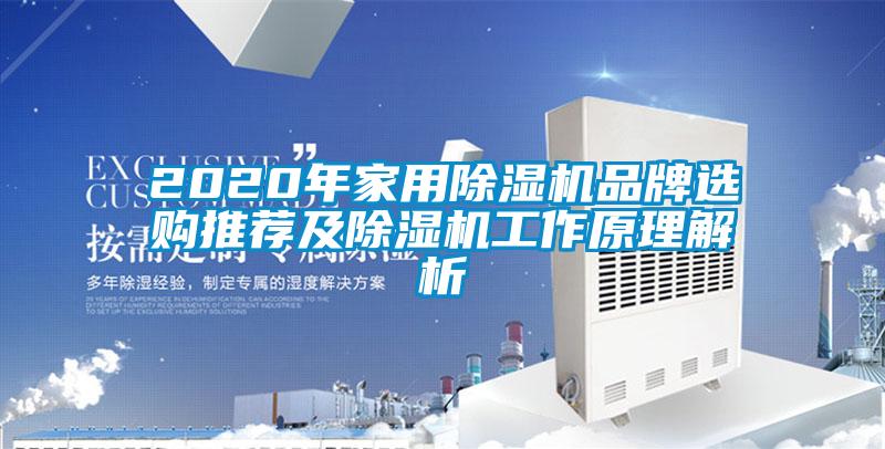 2020年家用除濕機品牌選購?fù)扑]及除濕機工作原理解析