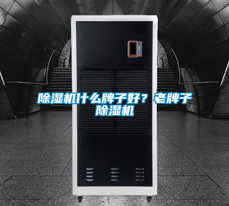 除濕機什么牌子好?老牌子除濕機