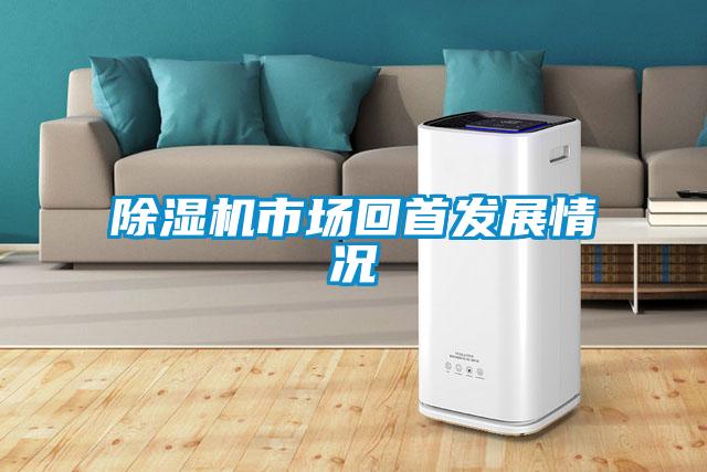 除濕機市場回首發展情況