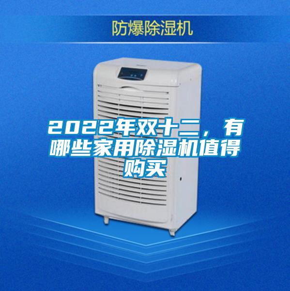 2022年雙十二,有哪些家用除濕機(jī)值得購(gòu)買(mǎi)