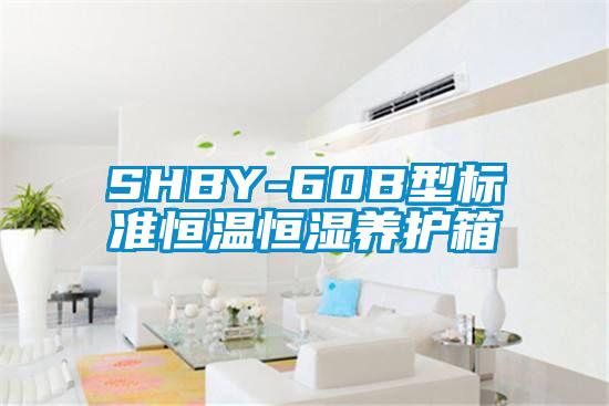 SHBY-60B型標(biāo)準(zhǔn)恒溫恒濕養(yǎng)護(hù)箱