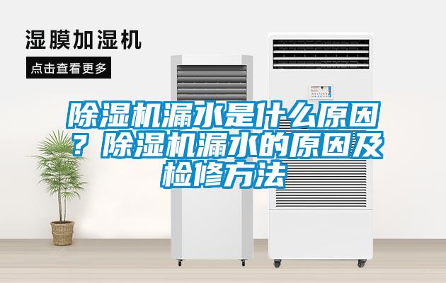 除濕機漏水是什么原因?除濕機漏水的原因及檢修方法