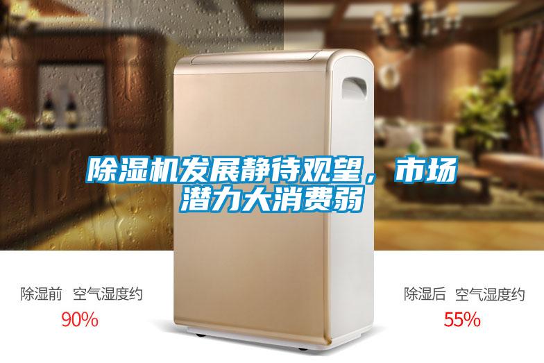 除濕機發展靜待觀望,市場潛力大消費弱