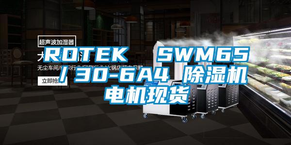 ROTEK SWM65/30-6A4 除濕機電機現貨