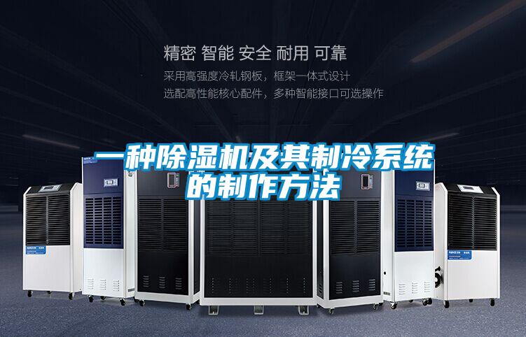 一種除濕機及其制冷系統的制作方法