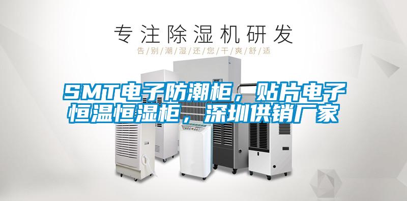 SMT電子防潮柜,貼片電子恒溫恒濕柜,深圳供銷廠家