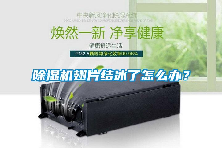 除濕機翅片結冰了怎么辦?