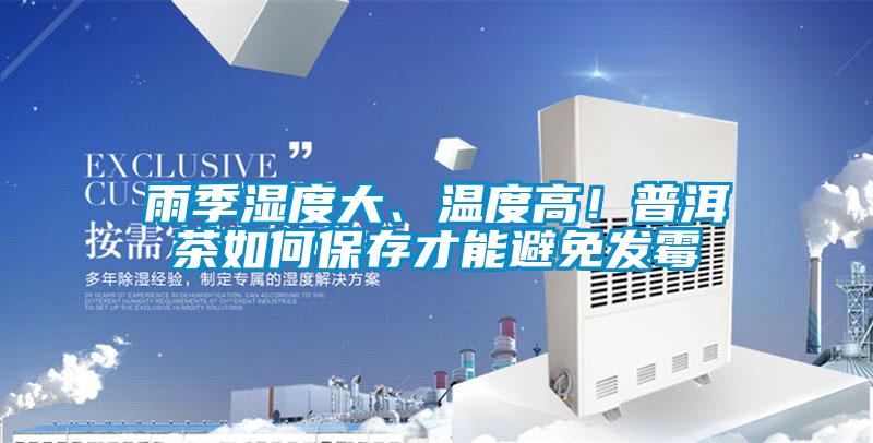 雨季濕度大、溫度高!普洱茶如何保存才能避免發(fā)霉