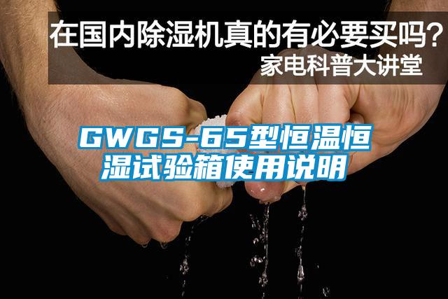 GWGS-65型恒溫恒濕試驗(yàn)箱使用說明