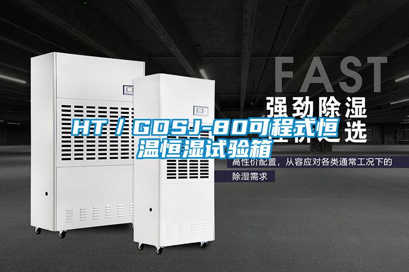 HT/GDSJ-80可程式恒溫恒濕試驗箱