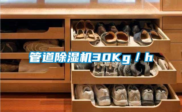 管道除濕機(jī)30Kg/h