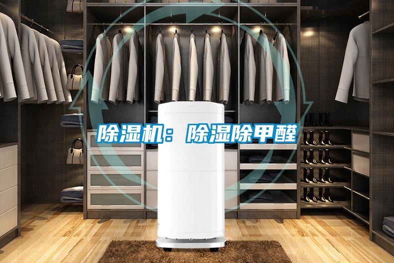 除濕機(jī):除濕除甲醛