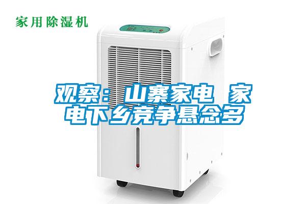 觀察:山寨家電 家電下鄉(xiāng)競爭懸念多