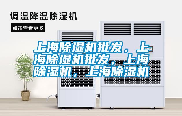 上海除濕機(jī)批發(fā),上海除濕機(jī)批發(fā),上海除濕機(jī),上海除濕機(jī)
