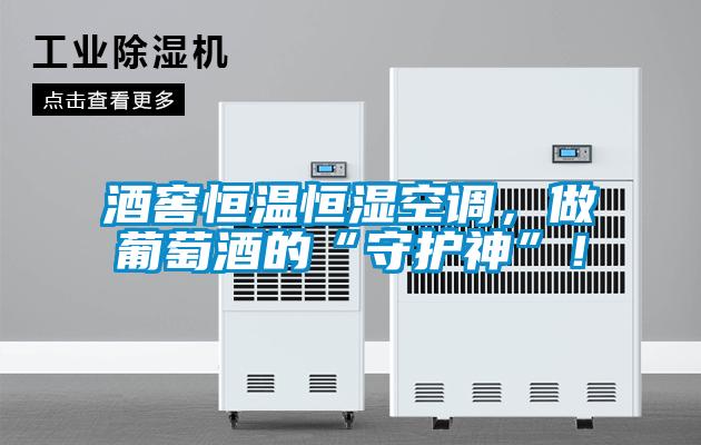 酒窖恒溫恒濕空調(diào),做葡萄酒的“守護(hù)神”!