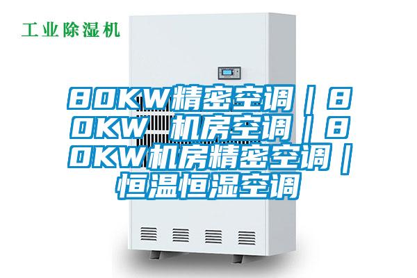 80KW精密空調|80KW 機房空調|80KW機房精密空調|恒溫恒濕空調