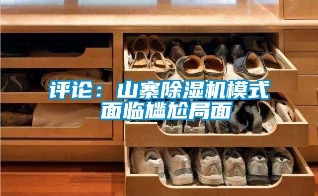 評論:山寨除濕機(jī)模式 面臨尷尬局面