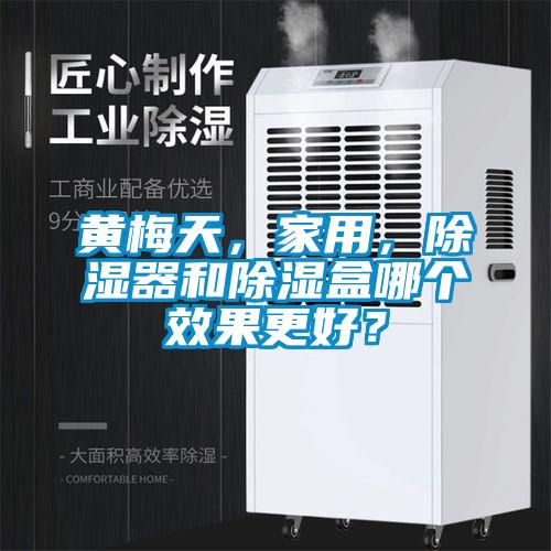 黃梅天，家用，除濕器和除濕盒哪個效果更好？
