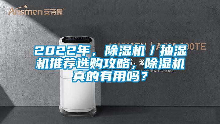 2022年,除濕機/抽濕機推薦選購攻略,除濕機真的有用嗎?