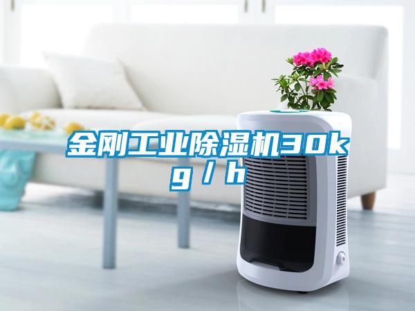 金剛工業除濕機30kg/h