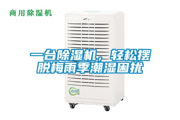 一臺除濕機,輕松擺脫梅雨季潮濕困擾