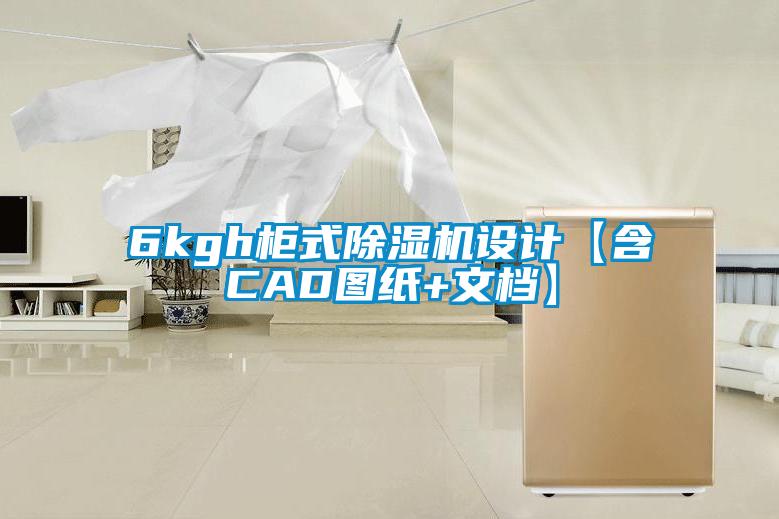 6kgh柜式除濕機設計【含CAD圖紙+文檔】