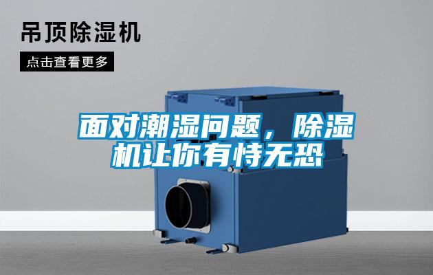 面對潮濕問題,除濕機讓你有恃無恐