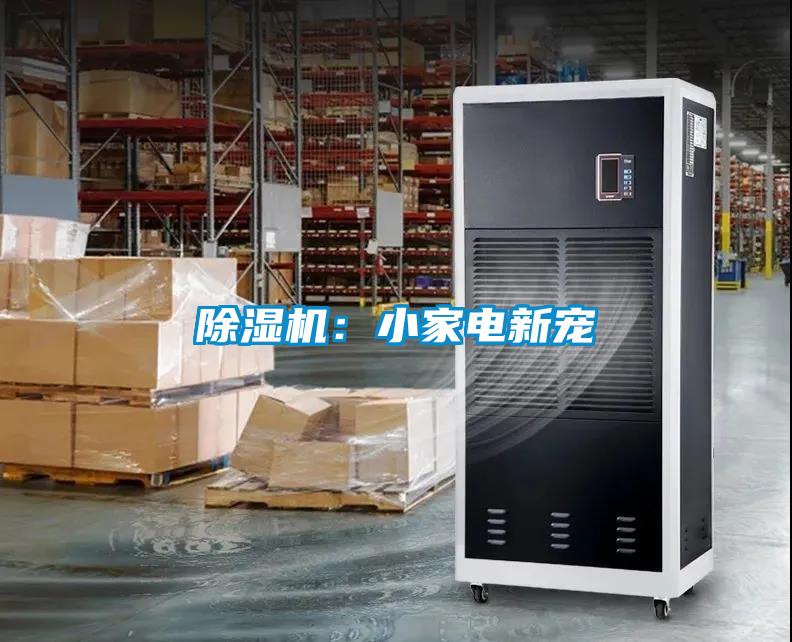 除濕機(jī):小家電新寵