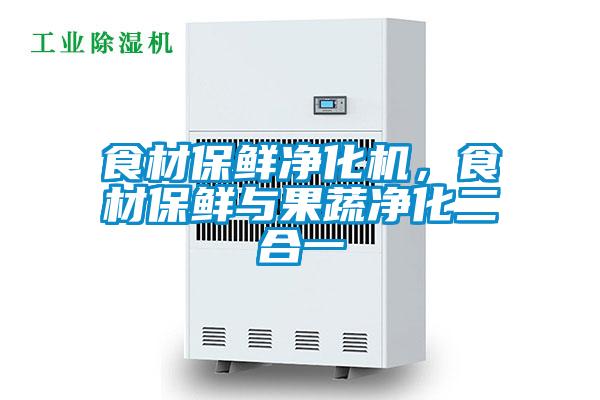 食材保鮮凈化機,食材保鮮與果蔬凈化二合一