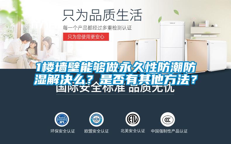 1樓墻壁能夠做永久性防潮防濕解決么?是否有其他方法?