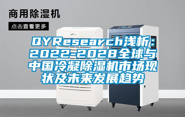 QYResearch淺析:2022-2028全球與中國冷凝除濕機市場現狀及未來發展趨勢