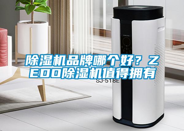 除濕機品牌哪個好?ZEDO除濕機值得擁有