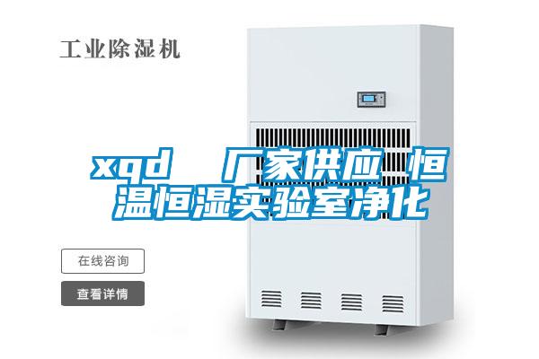 xqd 廠家供應(yīng) 恒溫恒濕實(shí)驗(yàn)室凈化