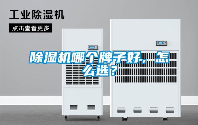 除濕機(jī)哪個(gè)牌子好,怎么選?