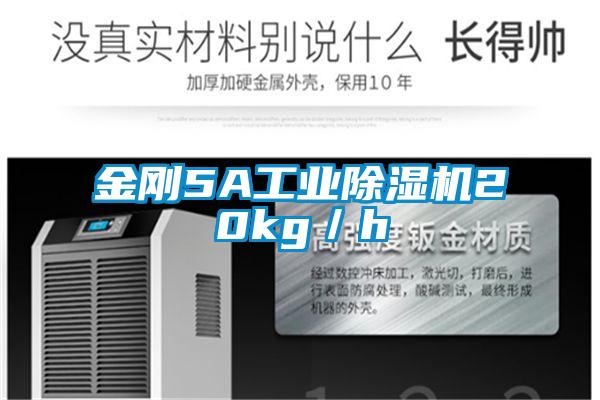 金剛5A工業除濕機20kg／h