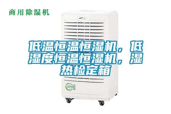 低溫恒溫恒濕機,低濕度恒溫恒濕機,濕熱檢定箱