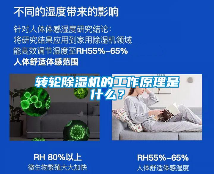 轉輪除濕機的工作原理是什么?