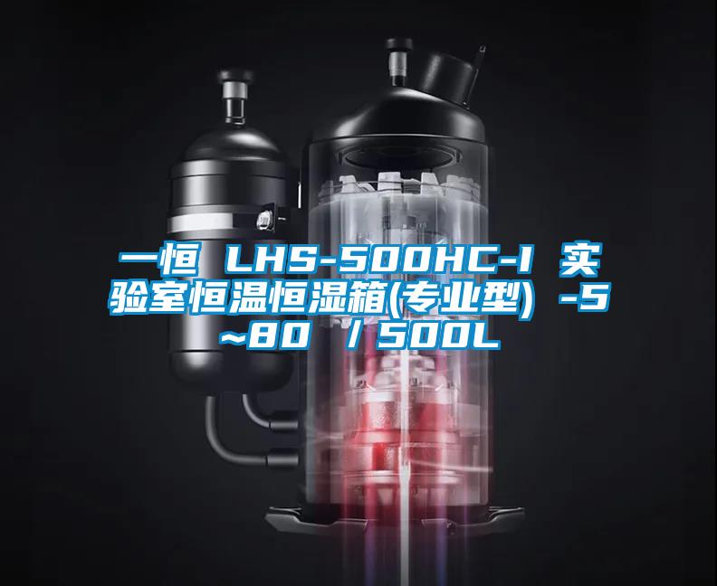一恒 LHS-500HC-I 實驗室恒溫恒濕箱(專業型) -5~80℃/500L