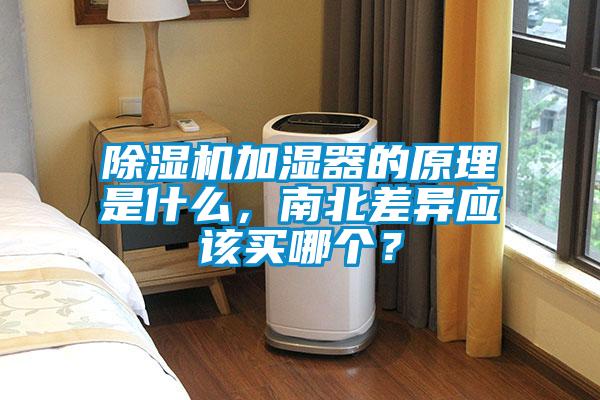 除濕機(jī)加濕器的原理是什么，南北差異應(yīng)該買哪個(gè)？